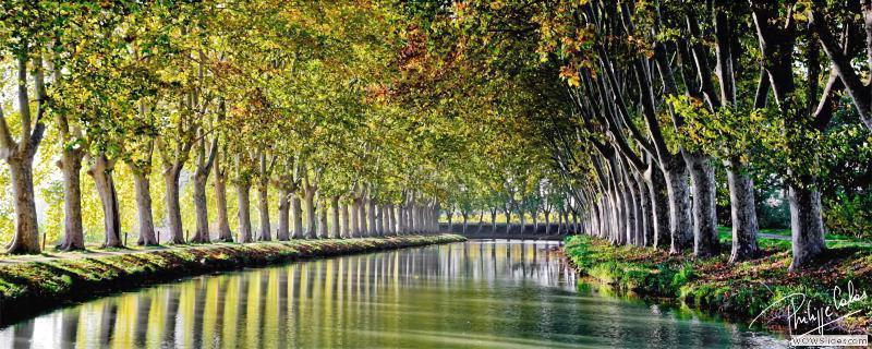 Ibis Budget Narbonne Sud A9/A61 Екстериор снимка